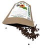 100% Natural Sun Dried Papaya Seeds | High Papain &