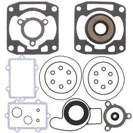 Vertex Complete Gasket Kit with Oil Seals Compatible with/Replacement for Arctic Cat, 711290