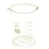 Pyrex Beaker 300ml 1000bk300 