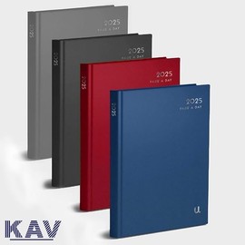 A4 Page a Day 2025 Diary, Assorted Hardback Classic Colours X1
