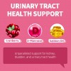 Just Try 13.4 OZ Urinary Tract Cat Treats for Indoor