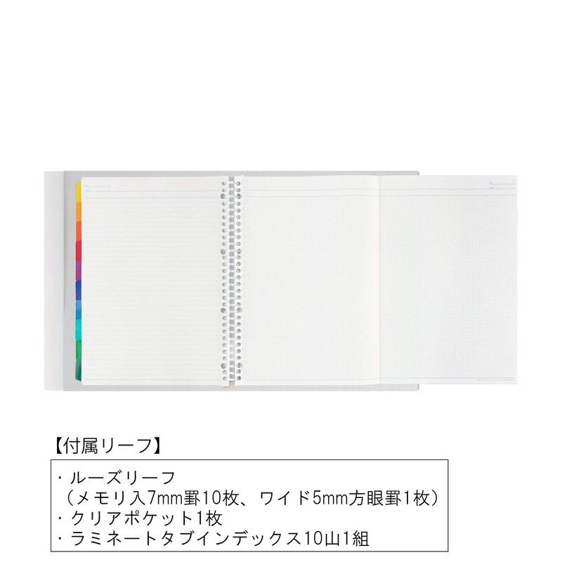 Maruman F584-98 Loose Leaf Binder, A4, Session, 30 Holes, Clear