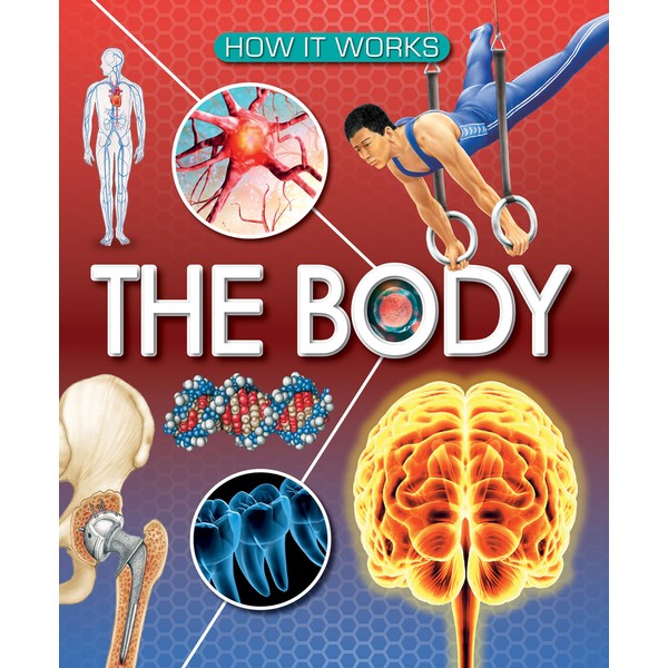 The Body (How It Works)