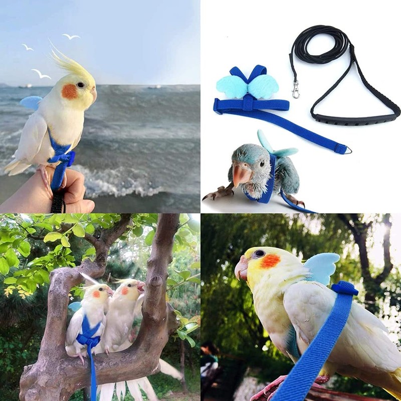 FORZENA Birds Adjustable Harness and Leash, Parrot Outdoor Flying Training