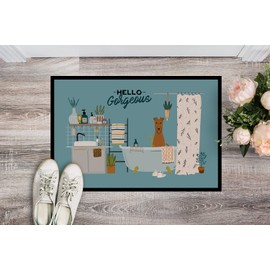 Caroline's Treasures CK7484MAT Irish Terrier in Bathtub Doormat 18x27 Front Door Mat Indoor Outdoor Rugs for Entryway, Non Slip Washable Low Pile, 18H X 27W