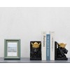 BOIHEGU Lion Statue Bookends, 7 inch Resin Exquisite Lion Statue(Set