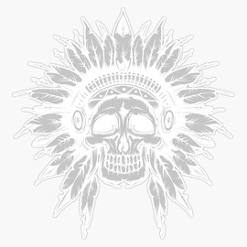 HOF Trading Native American Chief Skull. Vinyl Sticker Waterproof Decal Laptop Wall Window Bumper Sticker 5"