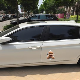 Car Sticker 25 cm (9.8 Inch) Poodle Sticker Funny Poodle Car Sticker Pet Dog Waterproof Sticker 3D Torn Metal Reflective Sticker Bumper Funny Decor