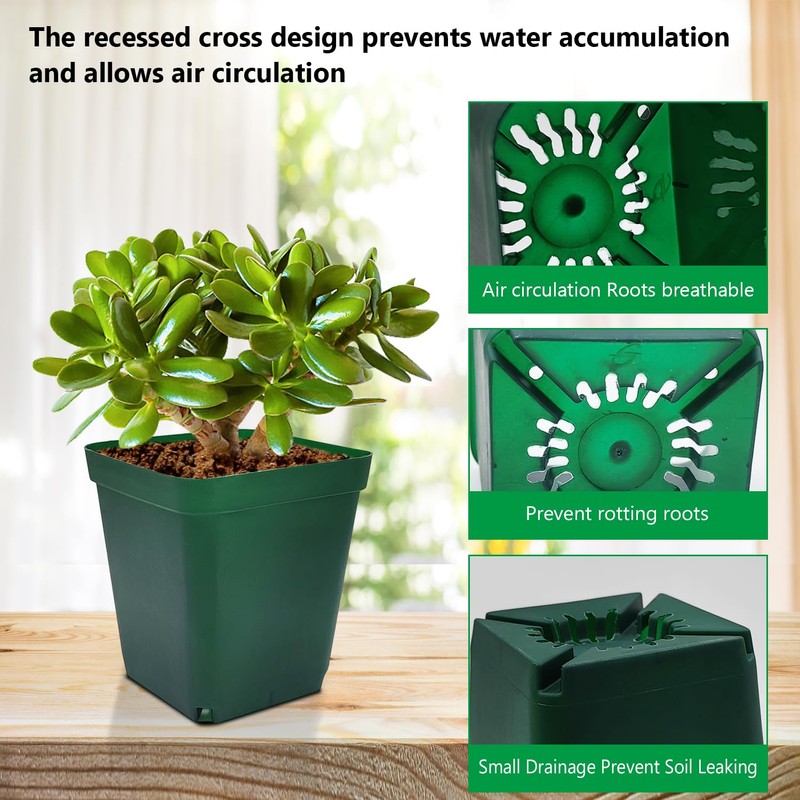 RooTrimmer Square Seedling Nursery Pots 3.15 Inches 100 Pcs for