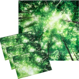 VIHOSE 4 Pcs 2 x 2 Feet Fluorescent Light Covers for Ceiling Lights Classroom Magnetic Light Filters for Reducing Harsh Glare Flicker for Office Classroom Home Drop Ceiling(Forest)