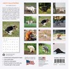 RED EMBER Dooty Calls Puppies Mini 2025 Wall Calendar 12