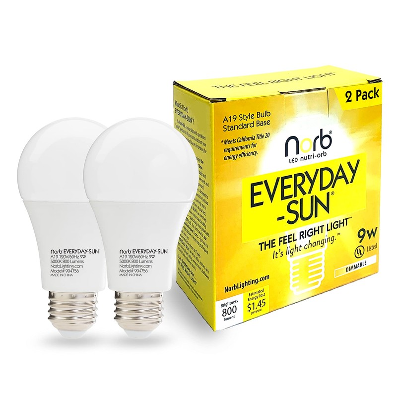 Norb Everyday Sun Light Bulb - Full Spectrum Wellness Lighting,