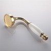 Skybath Shower Head Traditional Victorian Style Golden Handheld Shower Sprayer