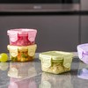 GiantGo Pack of 10 Small Plastic Containers with Lids, 60ml