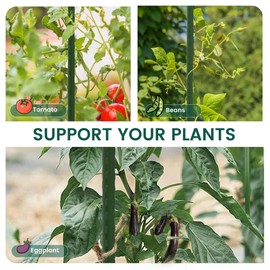 PROWORX 48 Inch 4 Ft Plant Support Garden Stakes 25 PCS, Sturdy Steel Plastic Coated Sticks for Outdoor Growing Climbing, Tomato, Trees, Cucumber, Beans