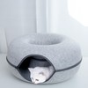 iCAGY Large Cat Tunnel Bed Toys for Indoor Cats (Light