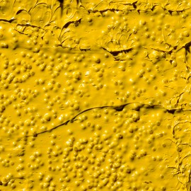 Winsor & Newton Galeria Acrylic Medium