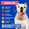 Dogelthy Gastro Aid Probioticos Para Perros en Polvo 270 gr
