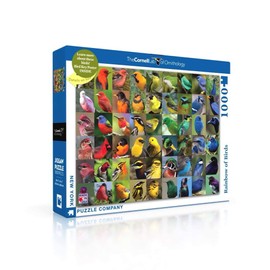 New York Puzzle Company - Cornell Lab Rainbow of Birds - 1000 Piece Jigsaw Puzzle