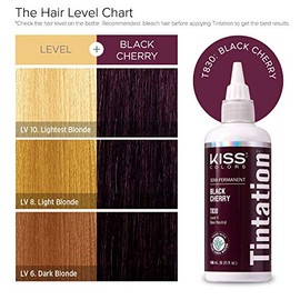 Kiss Tintation Semi-Permanent Hair Color 5 Ounce, T740 Rose Gold