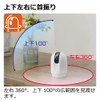 Richell Security Camera LOOK