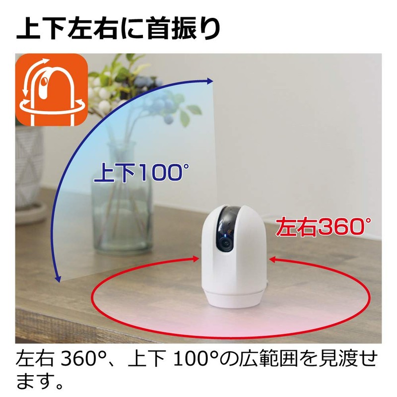 Richell Security Camera LOOK