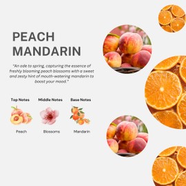 Fruits & Passion [Cucina] Peach and Mandarin Kitchen Mist Fragrance, 3.3 fl Ounces - Water-Based Air Fresheners for Home & Kitchen Room & Linen Spray