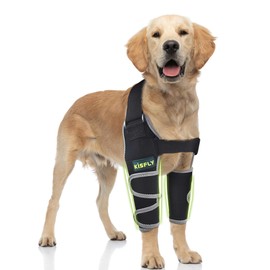 KISFLY Dog Elbow Protector for Osteoarthritis Canine Elbow and Shoulder Support Dysplasia Elbow Calluses Pressure Sores Dog Front Leg Brace for Better Recovery with Reflective Both Legs XXL