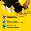 Temptations Creamy Puree Squeezable Lickable Cat Treats, Wet Cat Treats