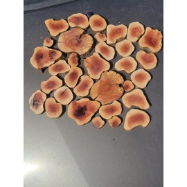 25pcs Manzanita slices burl ,slabs live edge wood crafts aquarium Diy epoxy #1