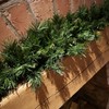 90cm Green Kateson Fir Artificial PVC Christmas Swag Garland with
