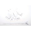 Trimz Adjustable Invisible Zip, White, 25cm