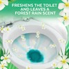 Lysol Cling Gel Toilet Bowl Cleaner, Country Scent, 24 Ounce