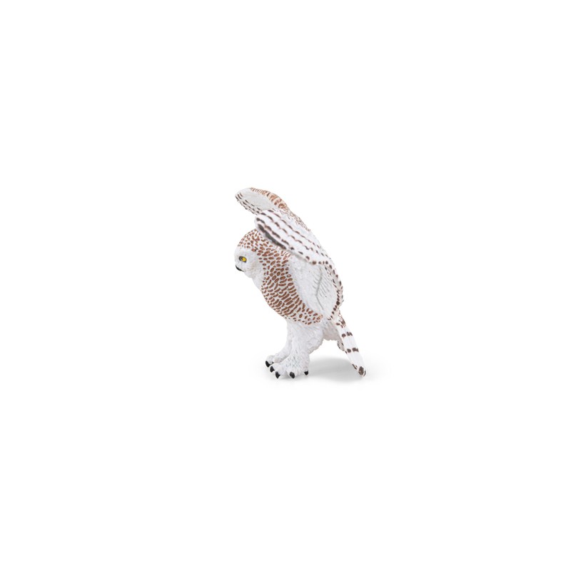 PAPO Flying Owl