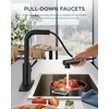 FORIOUS Black Kitchen Faucet with Pull Down Sprayer, Stainless Steel