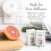 Barr-Co. Fir & Grapefruit Scent Pura Diffuser Refill, Invigorating Woody