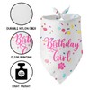 Girl Dog Birthday Decorations Birthday Girl Pet Triangle Scarf Bandana
