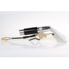 Closed Spray Auto Detailing and Upholstery Cleaning Wand