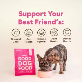 Pupford Freeze Dried Raw Dog Food - Flavor: Lamb & Salmon Recipe, Size : 16oz