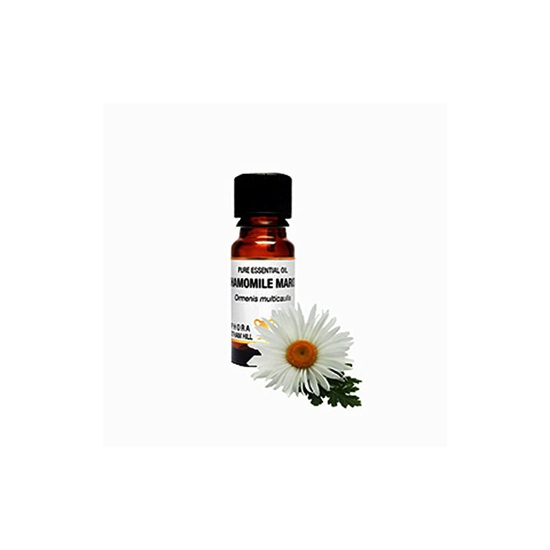 Chamomile Maroc Pure Essential Oil in a 10ml