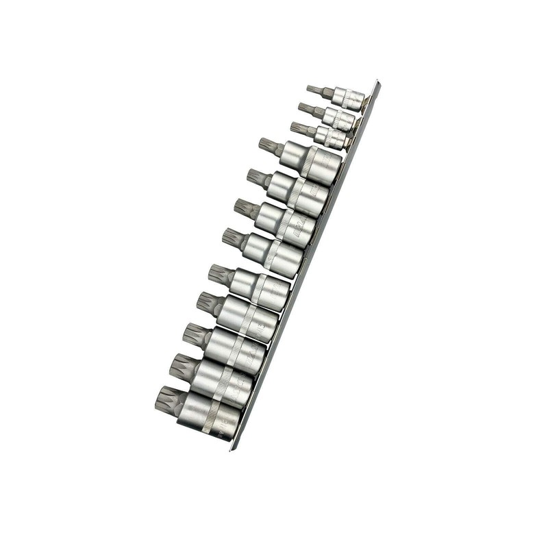 Haskyy 12-piece internal multi-tooth XZN sockets, multi-tooth set M4 M5
