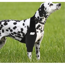 Dog Knee Brace for Torn ACL Hind Leg - Adjustable ACL Brace for Dogs Rear Leg - Dog ACL Knee Brace with Stabilizers for ACL, CCL, Cruciate Ligament Injury, Joint Pain and Muscle Sore (L, Black)