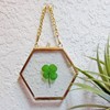 Clovers Online Genuine Four Leaf Clover Gold Brass and Glass