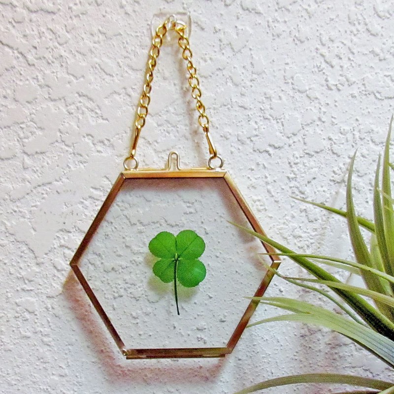 Clovers Online Genuine Four Leaf Clover Gold Brass and Glass