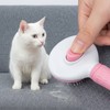 Pet Grooming Brush for Dogs & Cats – One-Button Hair