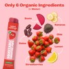 Paletas de frutas orgánicas Sweet Nothings sin azúcar – 6