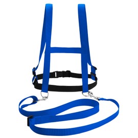 Granvoo Horse Lead Play for Children, Safety Harness Children, Horse Harness Play Adjustable, Baby Anti-Lost Belt, Children's Safety Belt Girls Boys for Skiing Play Trot (Blue)