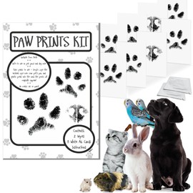BabyRice Paw Print Kit for Dogs and Cats - Safe Inkless Ink Free Wipe and Card - Create Lasting Memories with Your Furry Friend - Perfect Pet Pawprint Maker for Animal Lovers (2 Wipes, 8 x A6 Cards)