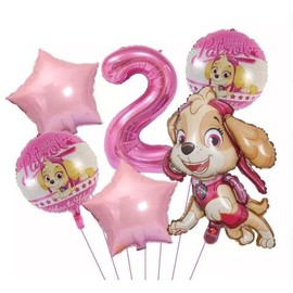 5 PCS Skye Foil Balloons Birthday Party Supplies for Kids Theme Party Decorations (2)