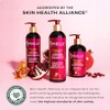 Mielle Pomegranate & Honey Curl Cream - Coil & Curl